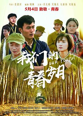 我们的青春岁月HD国语