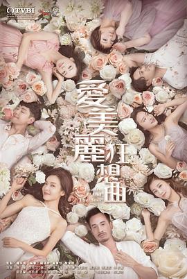 爱美丽狂想曲粤语第15集