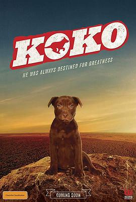 Koko:红犬历险记HD中字