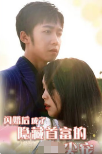 闪婚后成了隐藏首富的心尖宠第29集