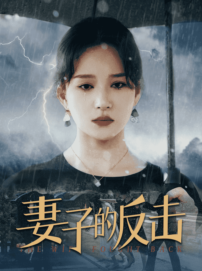 妻子的反击第16集
