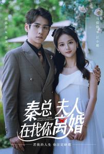 秦总，夫人在找你离婚第22集