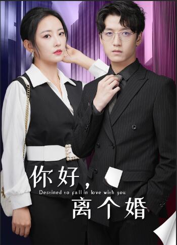你好，离个婚第04集