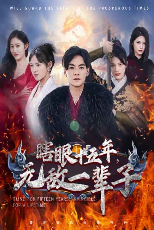 眼瞎十五年，无敌一辈子第17集