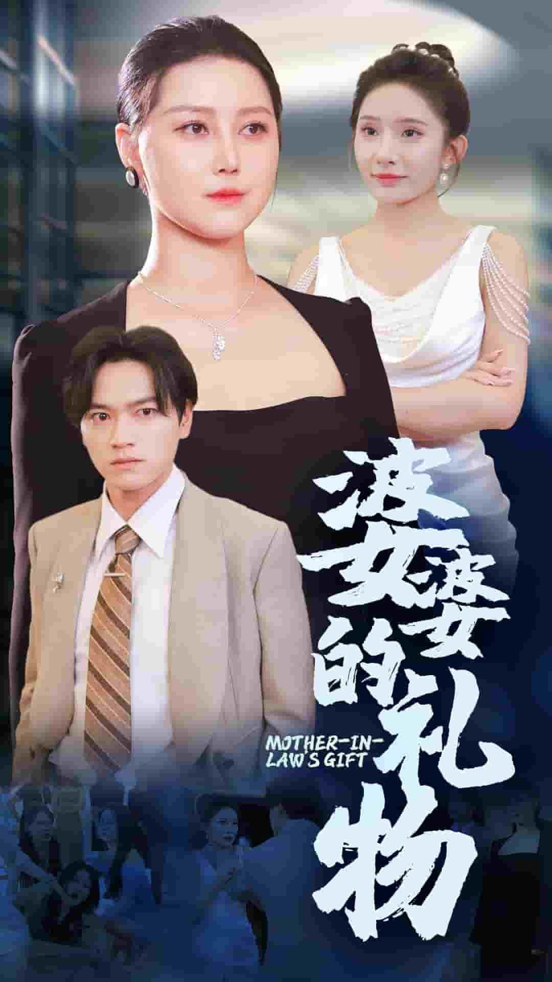 婆婆的礼物第20集
