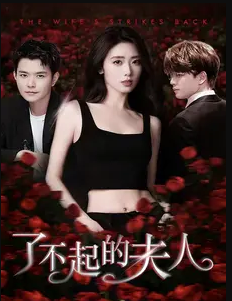 了不起的夫人第16集