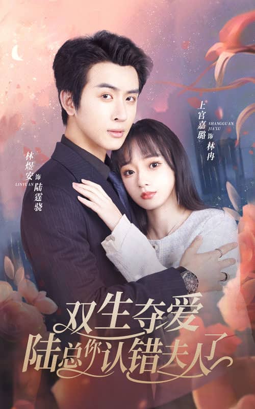 双生夺爱陆总你认错夫人了第05集