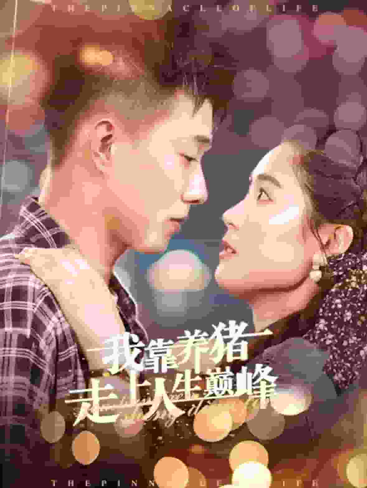 我靠养猪走上人生巅峰第19集
