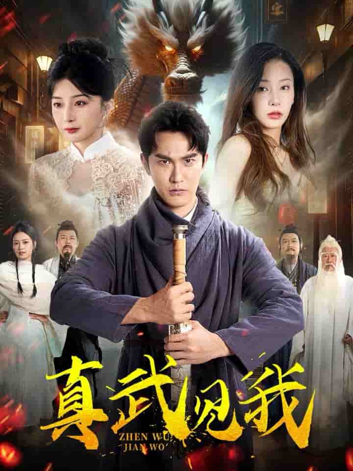 真武见我第03集
