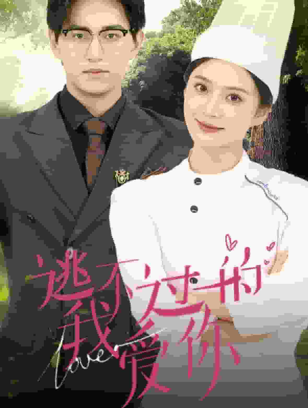 逃不过的我爱你第28集