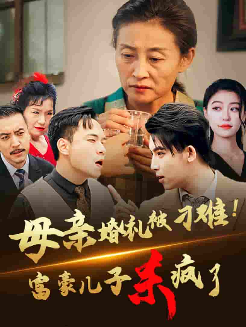 母亲婚礼被刁难首富儿子杀疯了第13集