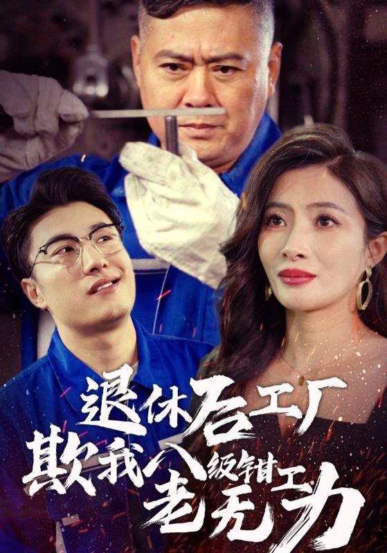退休后工厂欺我八级钳工老无力第07集