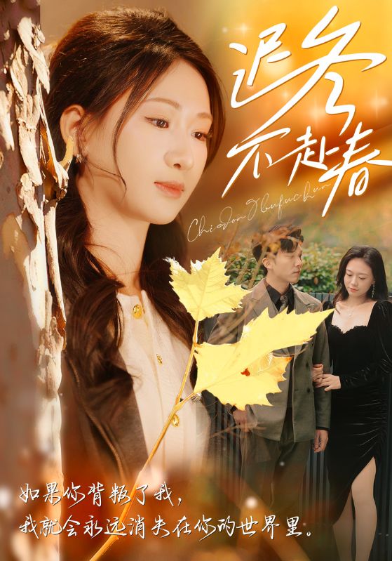 迟冬不赴春第12集