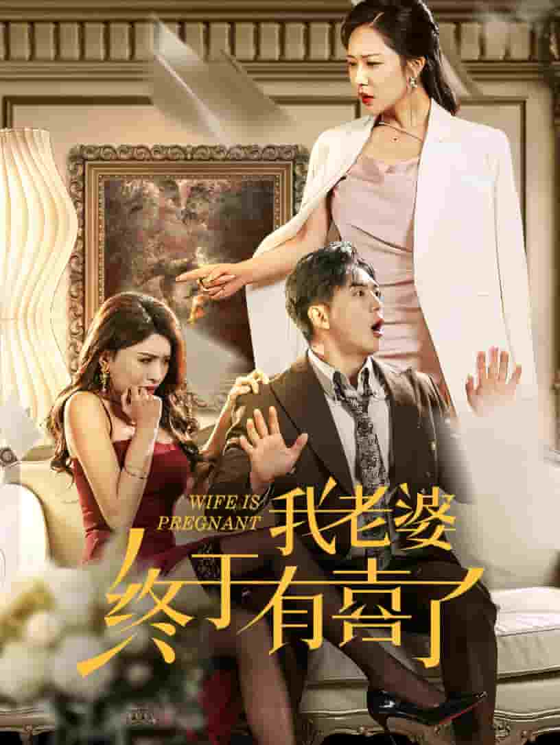 我老婆终于有喜了第18集