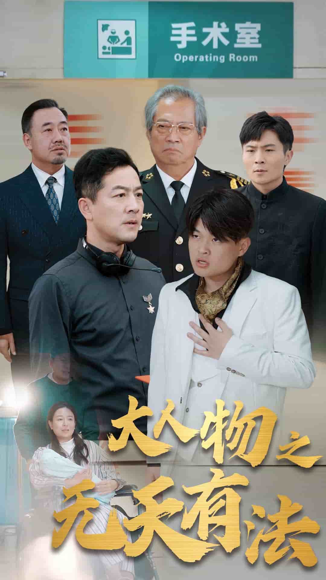 新大人物之无天有法第31集