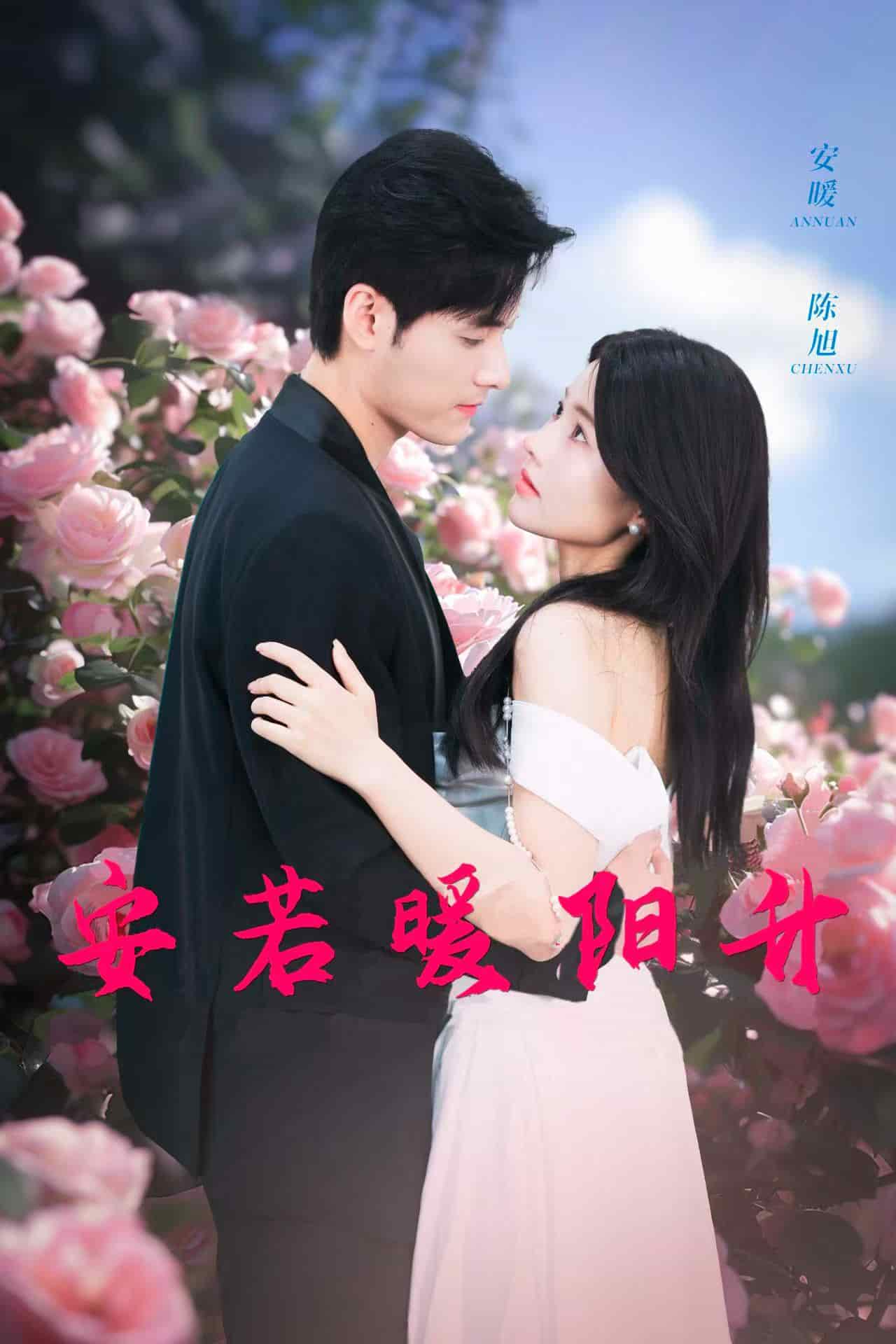 安若暖阳升第31集