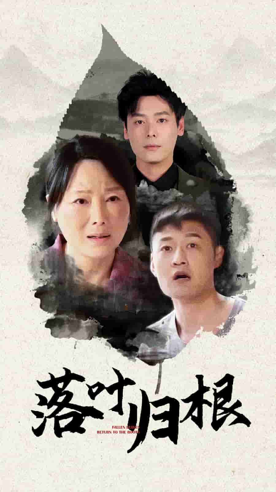 落叶归根（短剧版）第62集