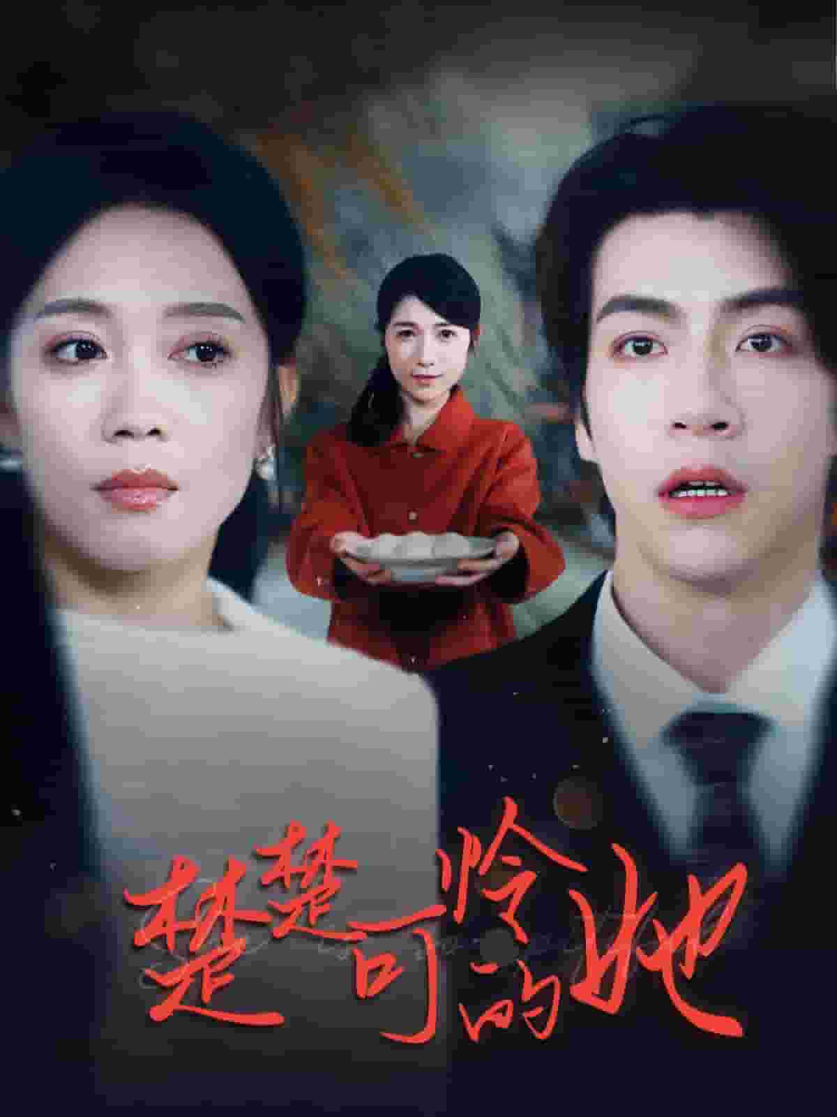 楚楚可怜的她第25集