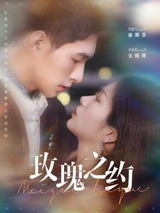 玫瑰之约第13集