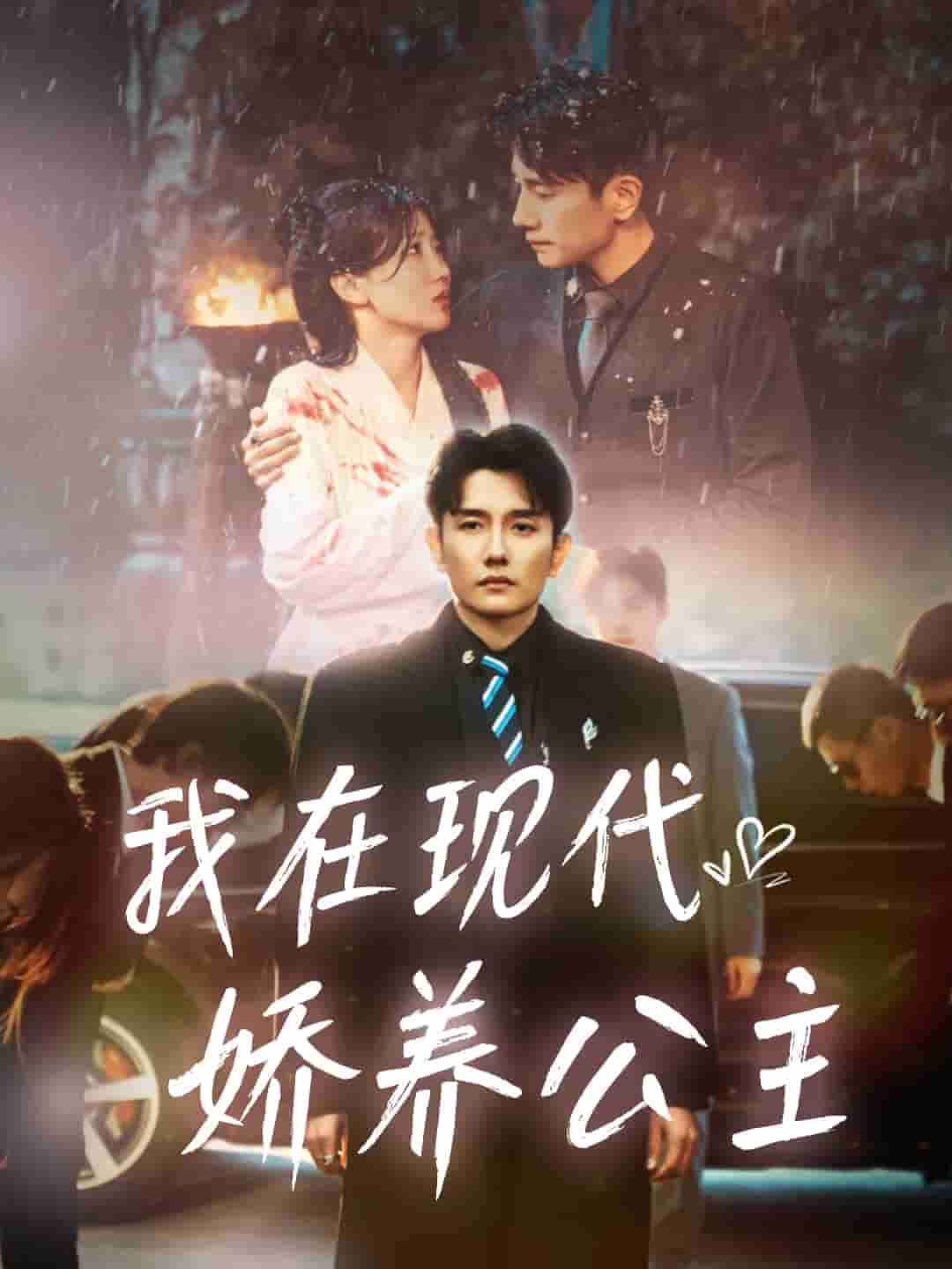 我在现代娇养公主第16集