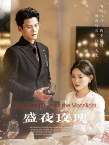 盛夜玫瑰第29集