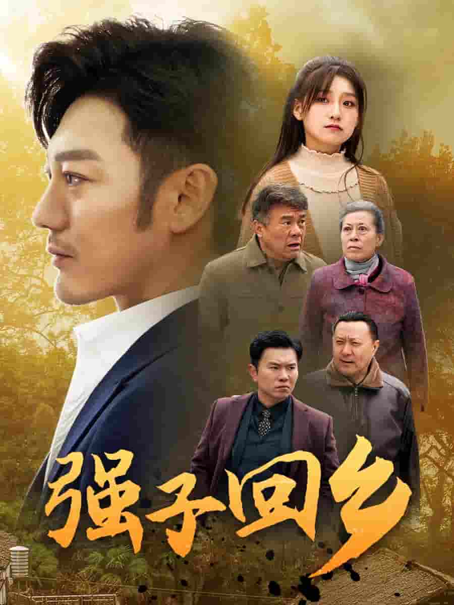 强子回乡第17集