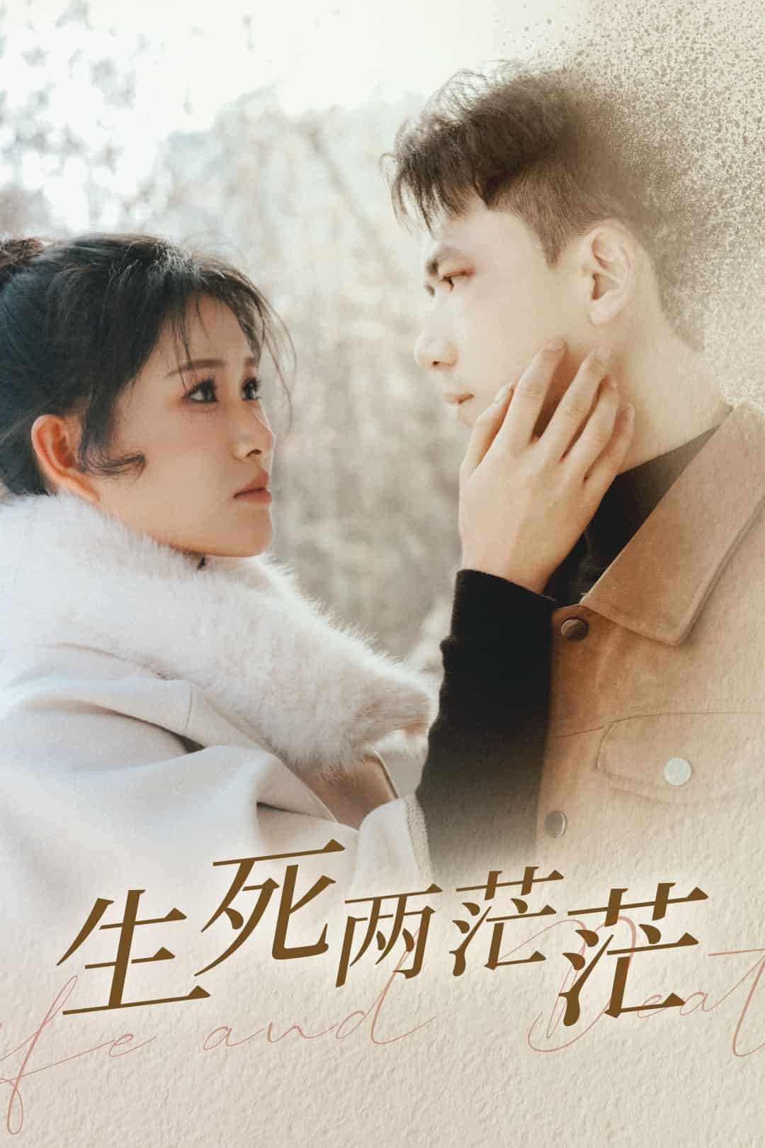 生死两茫茫第34集