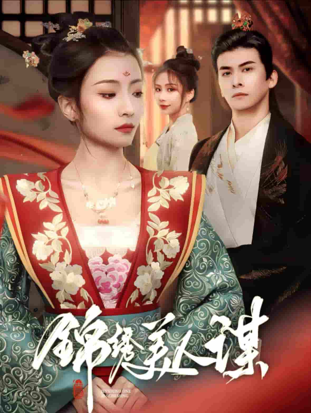 锦绣美人谋第18集