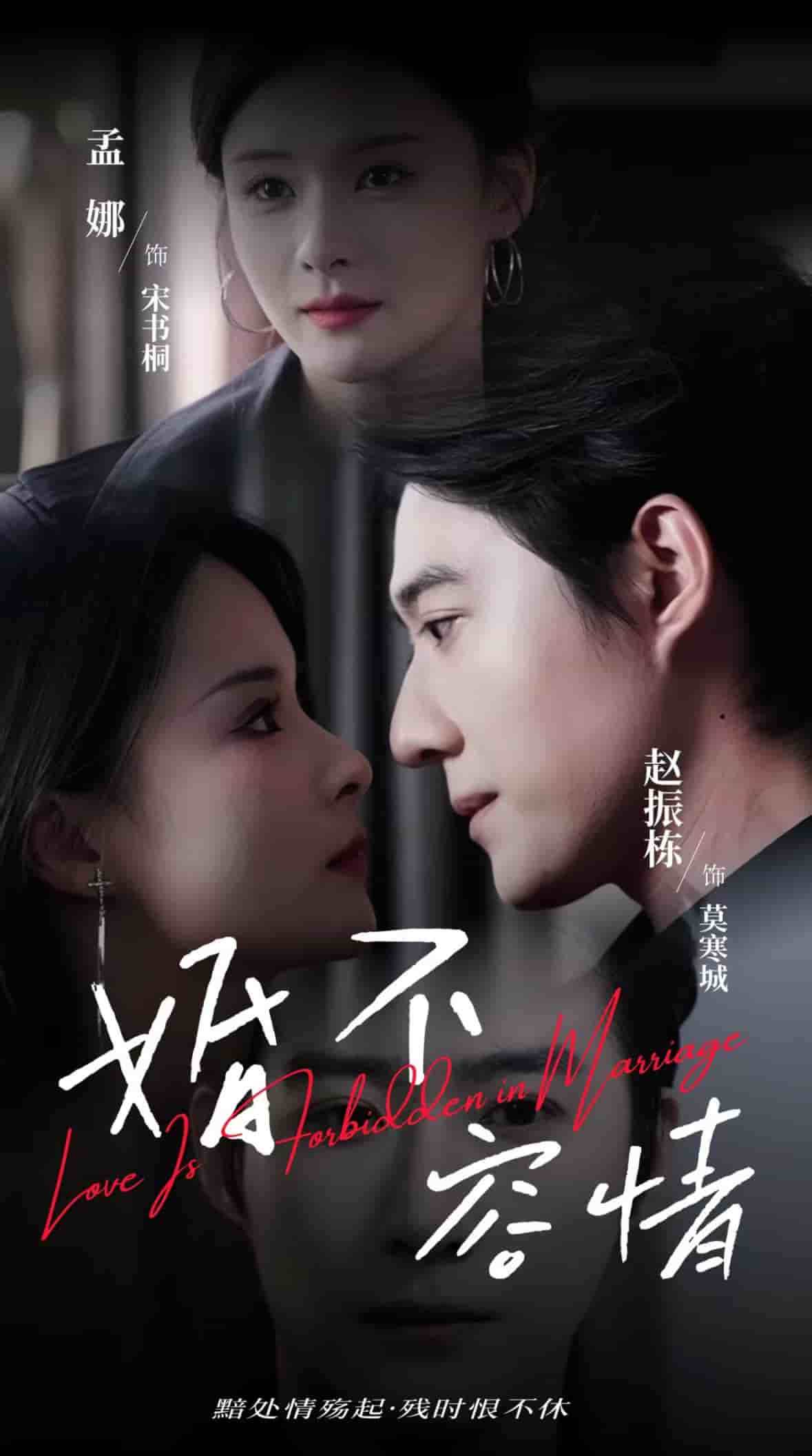 婚不容情第18集