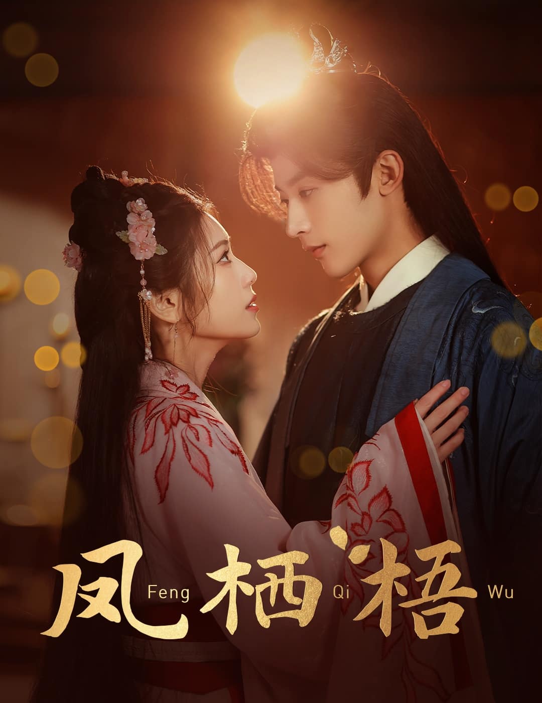 凤栖梧第17集