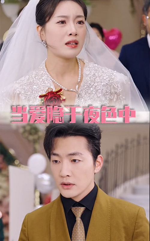 当爱隐于夜色中第34集