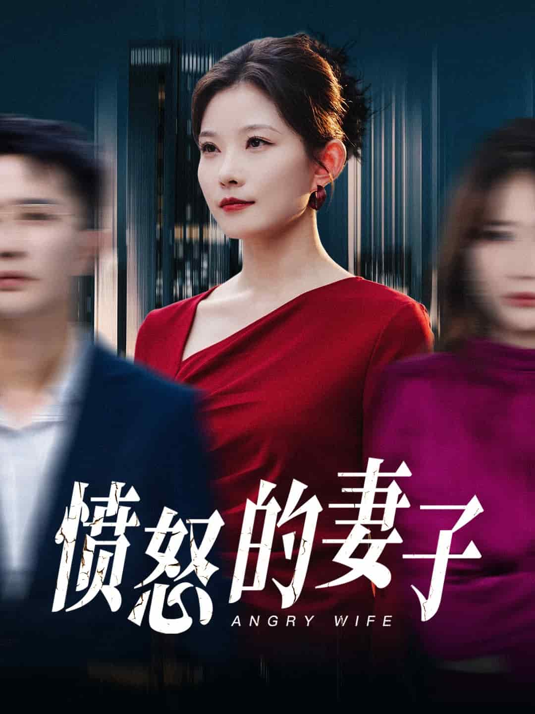 愤怒的妻子第27集