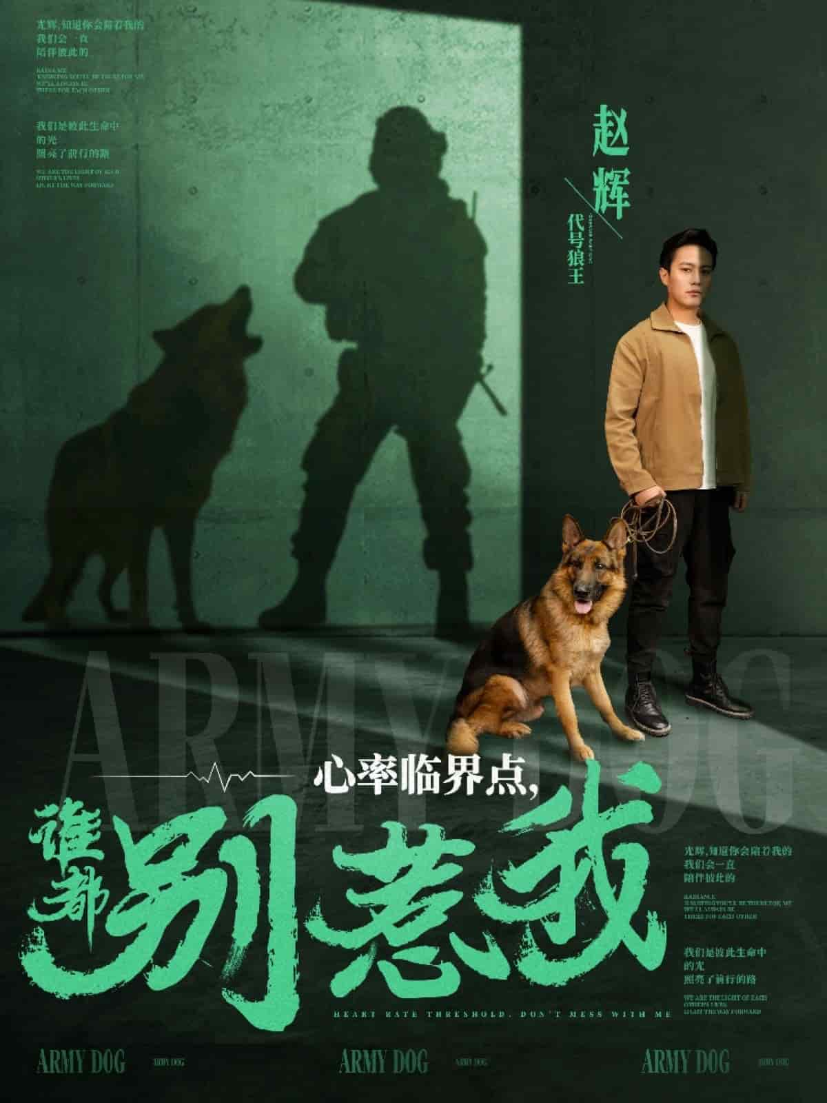 心率临界点谁都别惹我第62集