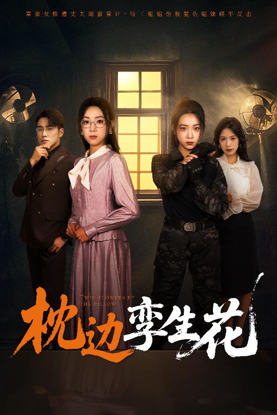 枕边孪生花第48集