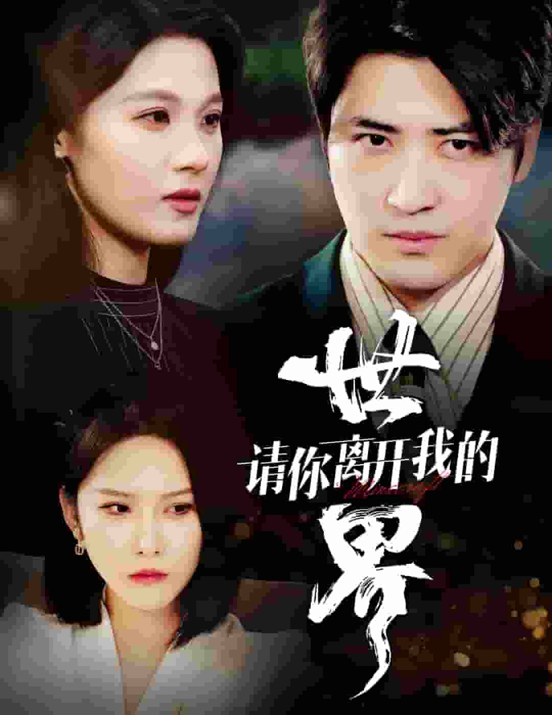请你离开我的世界第15集