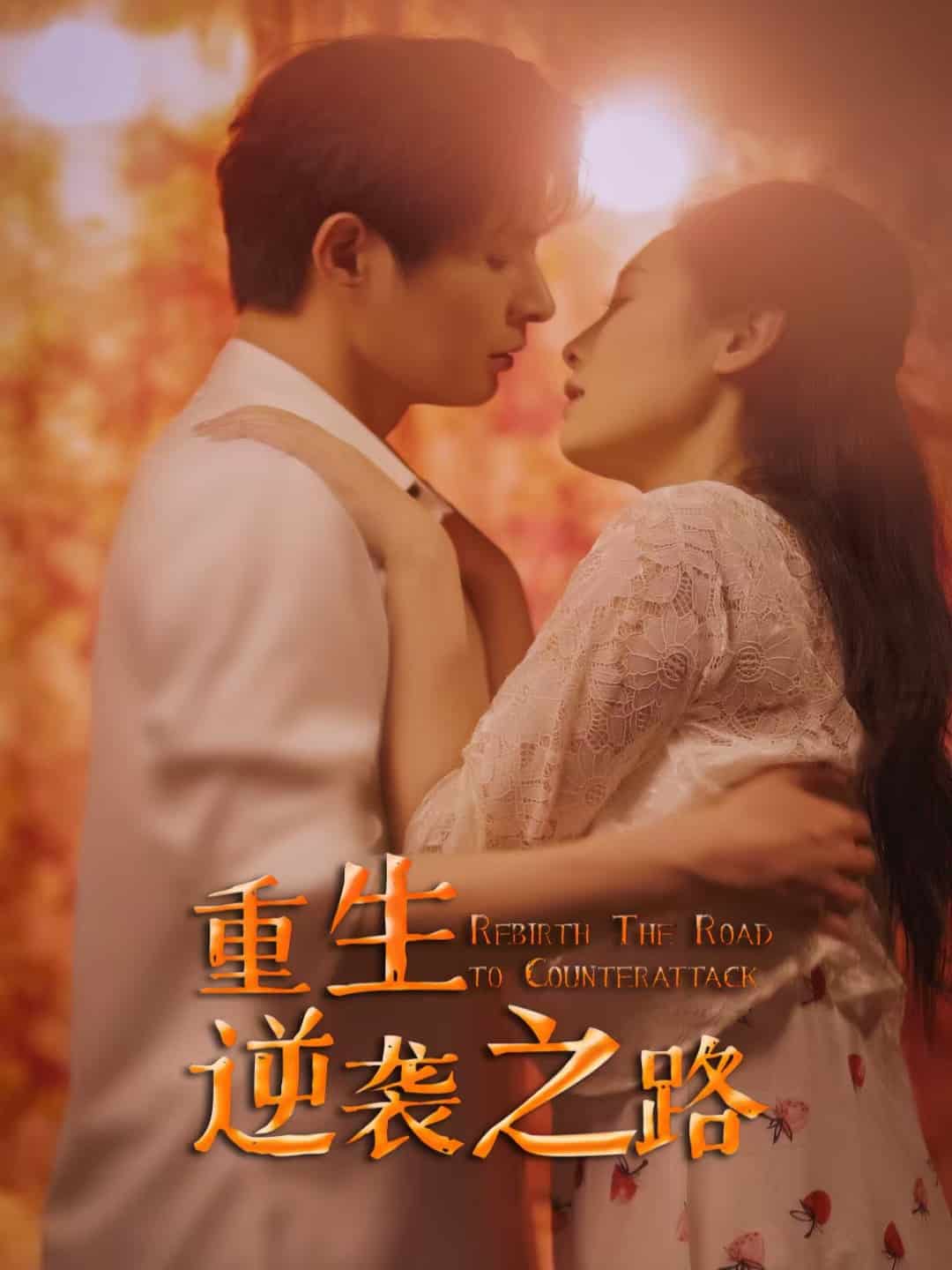 重生逆袭之路第30集