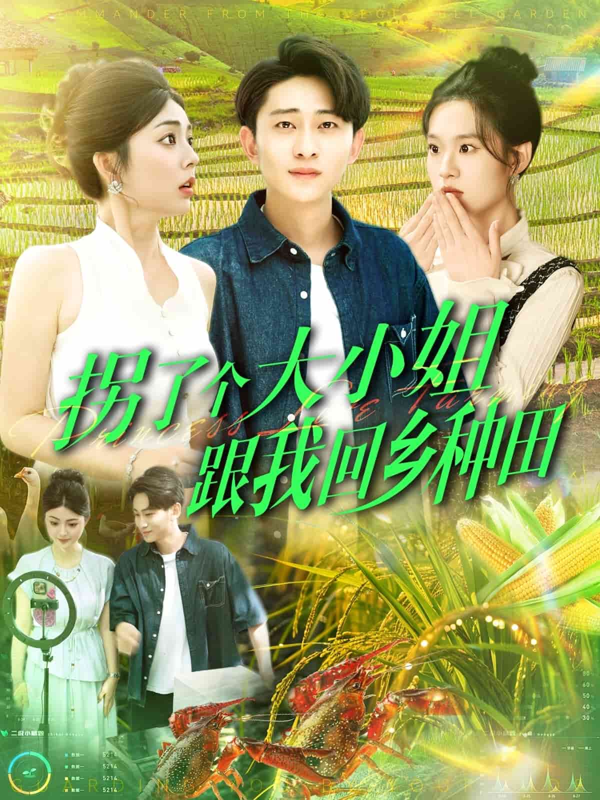 拐了个大小姐跟我回乡种田第25集