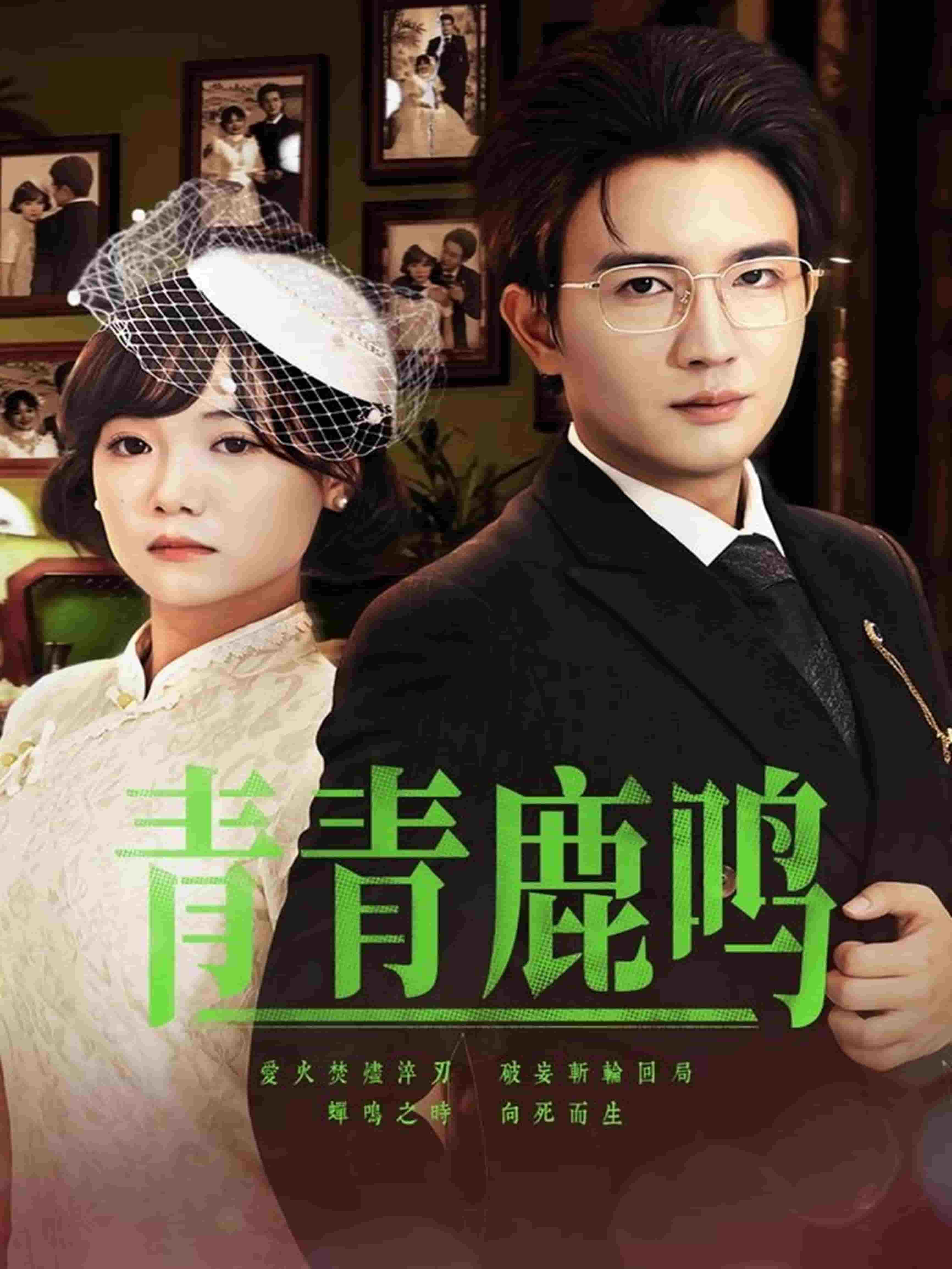 青青鹿鸣第31集