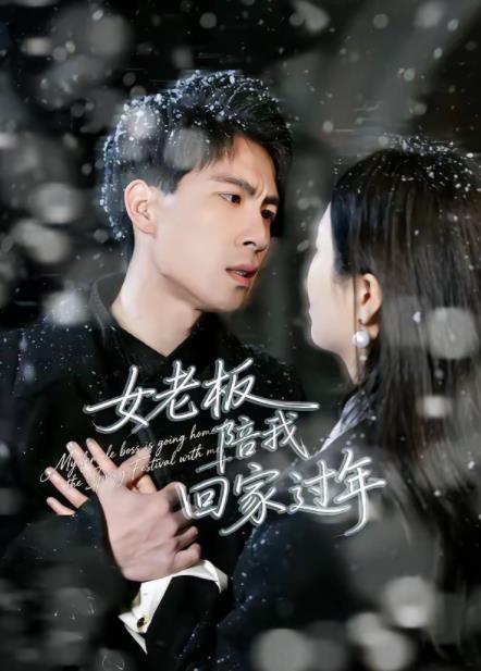 女老板陪我回家过年第04集