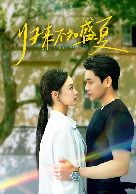 归来不知盛夏(全集)