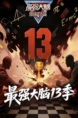 最强大脑第十三季(全集)