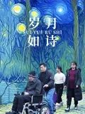 岁月如诗(全集)