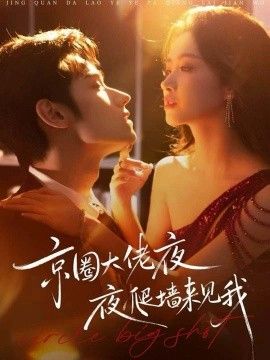 京圈大佬夜夜爬墙来见我，吻上瘾，顾总他破防了(全集)