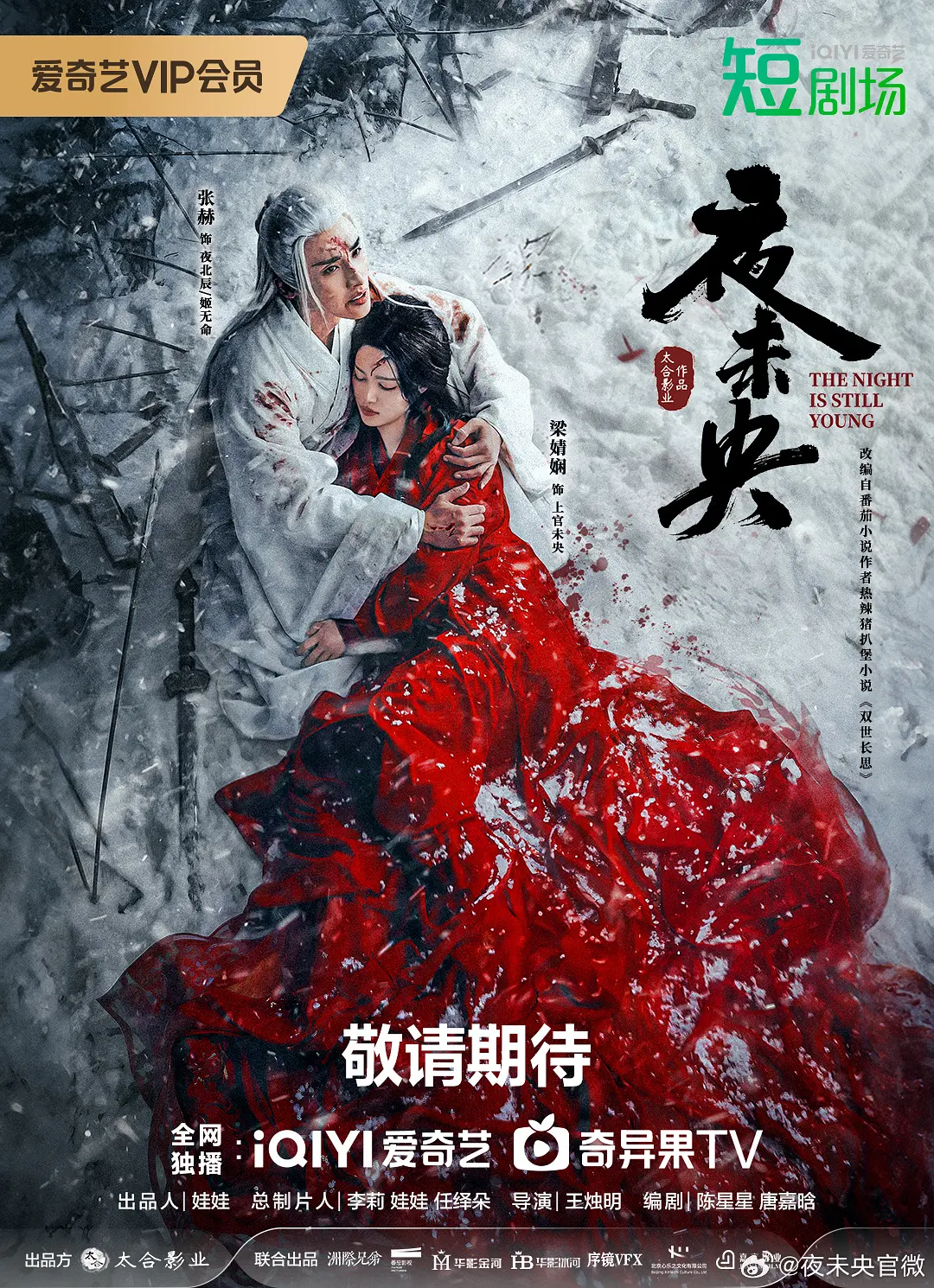 夜未央2024(全集)