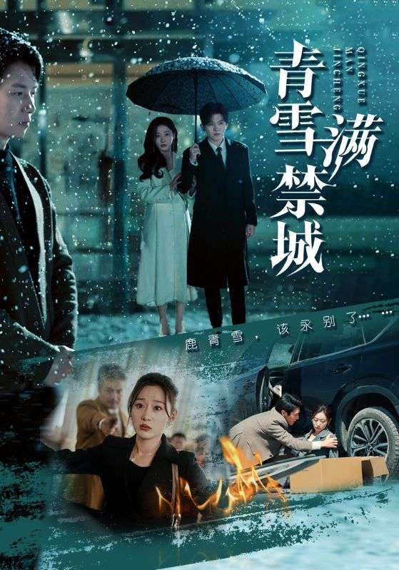 青雪满禁城(全集)