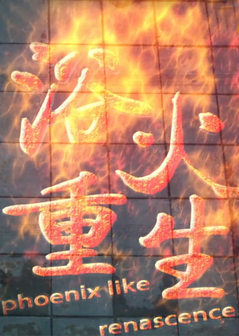 浴火重生2014