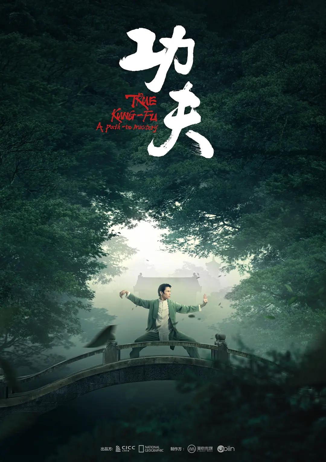 功夫2023(全集)