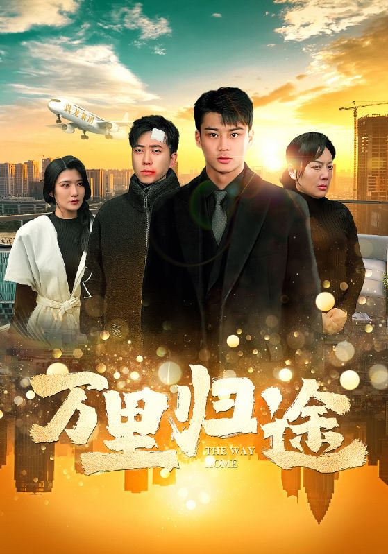 万里归途 短剧版第27集