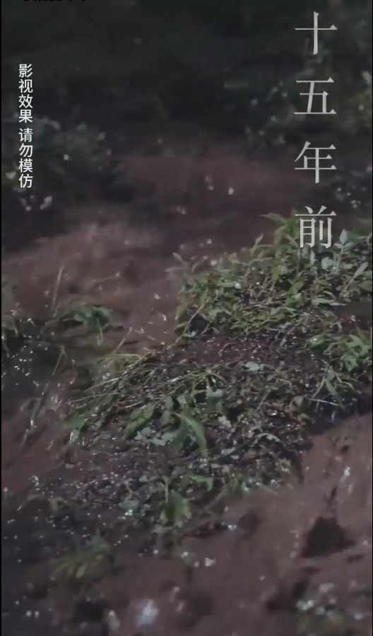 云深见朝阳第46集