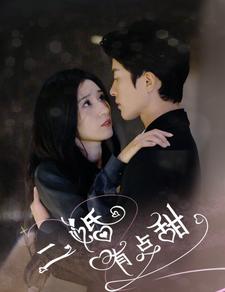 二婚有点甜第42集